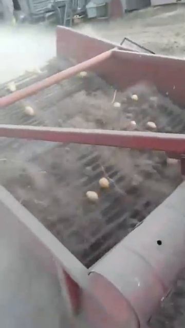 🥔Сбор картофеля. Шиловский район. Копаем картошку 🚜? смотреть онлайн