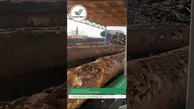 Выставка "Деревообработка 2024" #woodtech смотреть онлайн