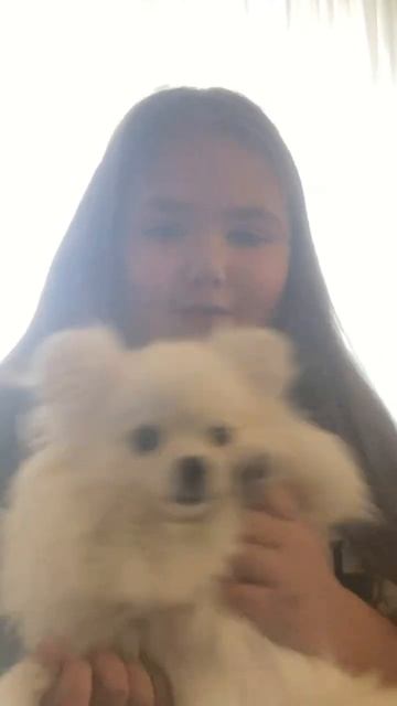 1 листопада 2023 р.