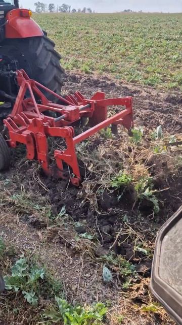 подкапыватель, Копалка хрена, корнеплодов смотреть онлайн