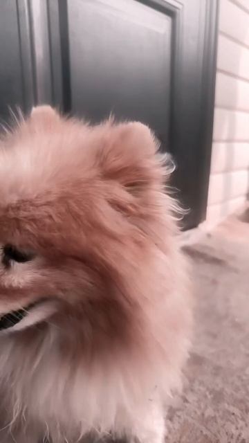 13 июля 2024 г.