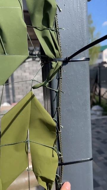 Plastic Paradise Prodigy