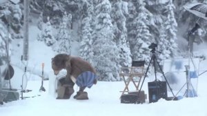 Медведь стирает шкуру