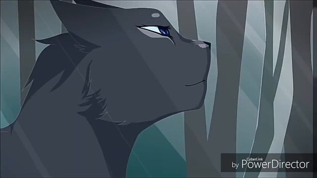 Коты воители клип ~ « Ты в нашем сердце »