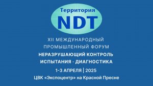 Интервью генерального директора НИИИН Д. Галкина | Промышленный форум «Территория NDT»