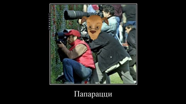 Барбоскины+ШИЗА смотреть онлайн
