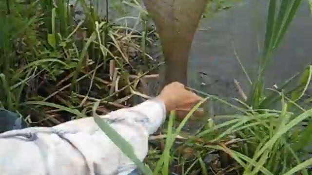 Поймал - отпусти ! смотреть онлайн