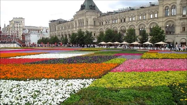 На Красной площади появился цветочный "ковер". смотреть онлайн