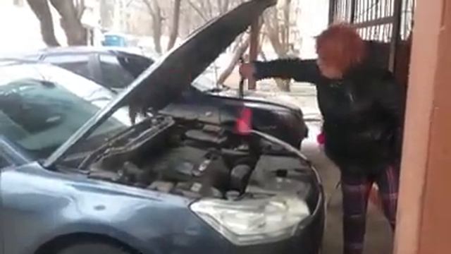 Крысы в машине, прикол 2017 смотреть онлайн