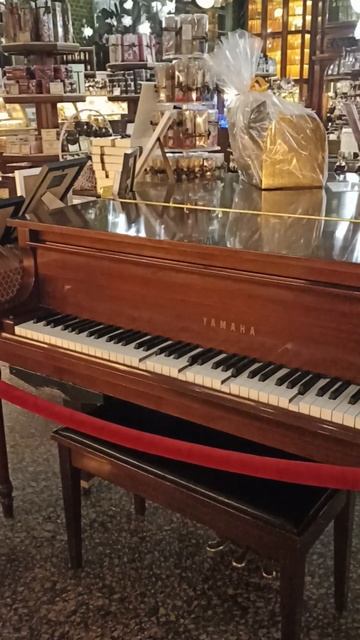 Санкт-Петербург магазин Елисеева смотреть онлайн