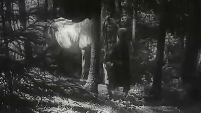 Сын полка. 1946 смотреть онлайн