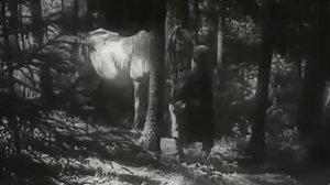 Сын полка. 1946