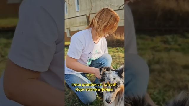 Дерево может погибнуть, если не залечите раны на стволе! Спасаем сад от рака смотреть онлайн