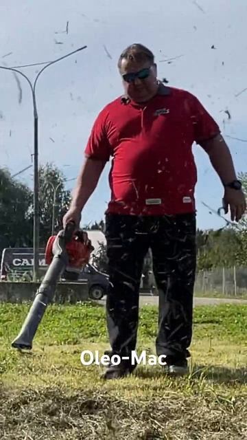 #садоваятехника #gardening #газонокосилкабензиновая #shortsvid смотреть онлайн