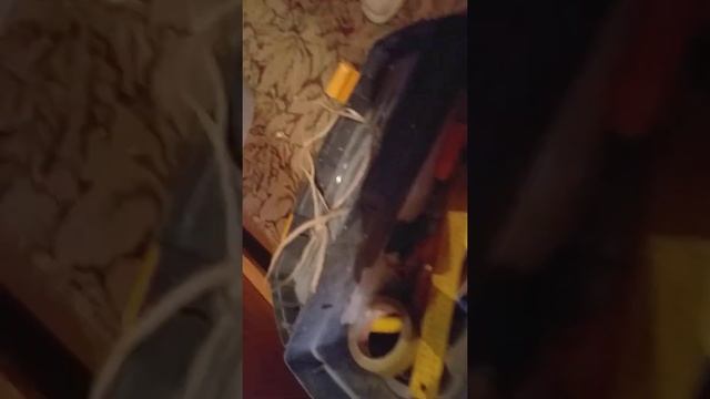 Что у девушки маляра в ящике? смотреть онлайн