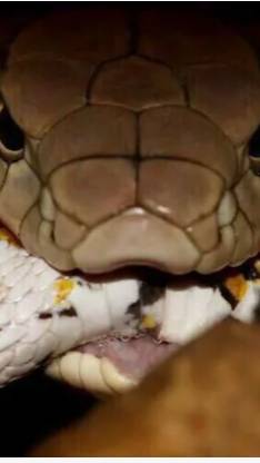 Вредно Блог 3 Часть