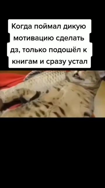 Вкинулся#рекомендации #ukraine #украина #россия #shorts #мэм#мемасы смотреть онлайн