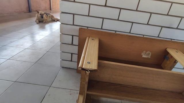 ЧТО ДЕЛАТЬ ЕСЛИ ШАТАЕТСЯ СТОЛ СТУЛ ШКАФ? САМОЕ ПРОСТ?