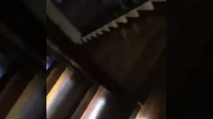 Лестница из дуба с установкой