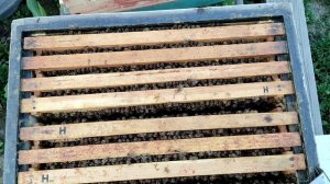 Карника Лунц приятно работать!