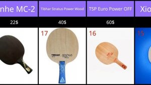 Топ 33 недорогих оснований для настольного тенниса по ?
