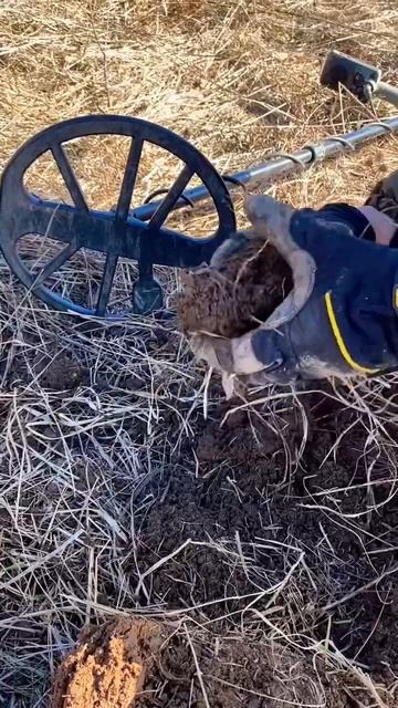 Древняя монета | Minelab EQUINOX 600 | Поиск монет смотреть онлайн