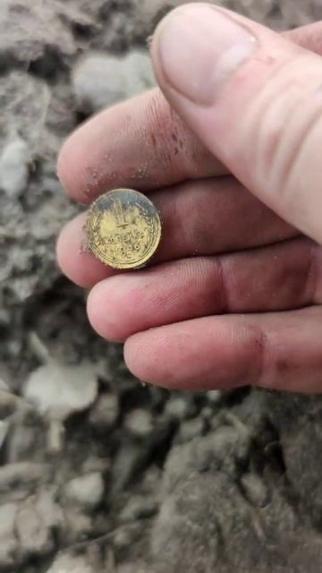 #коп#металлоискатель #популярное #монеты #золото #сере? смотреть онлайн