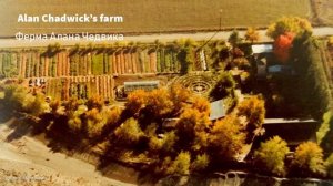 Мексиканское чудо! Ферма Алана Чедвика!