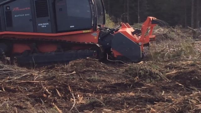 AHWI Prinoth Raptor 800 , Crawler Mulcher , Самоходный мульчер Раптор 800 смотреть онлайн