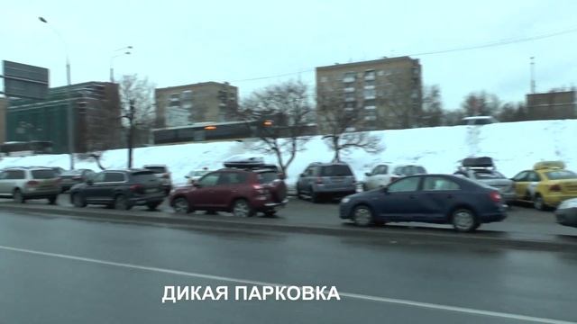 Медведи в парке "Акведук" 2022 смотреть онлайн