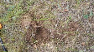 #22#23 Коп в Волгоградской области,крутые находки и сове?