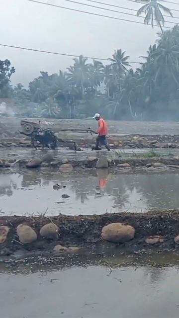 yeeeee #село #сельскоехозяйство #мтз #деревня #трактор #farmi смотреть онлайн