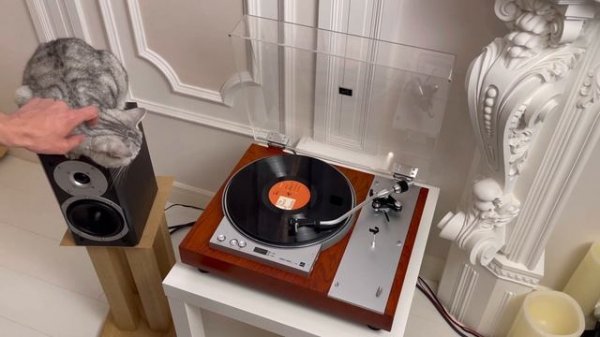 Виниловая пластинка Sade The Best of Sade