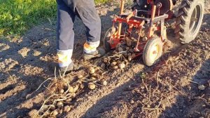 Brait 135 GEDS с картофелекопалкой