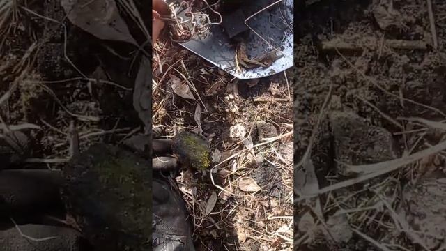 Коп металла на безлюдном месте 21.03.2024 #хобби смотреть онлайн