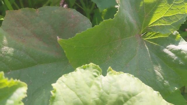 Водопровод, подставка и приставка