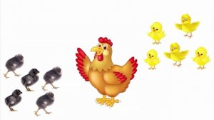 Самуил Маршак - Стала курица считать...