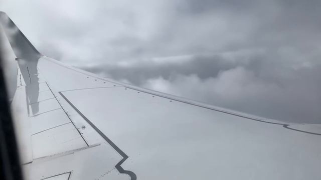 Boeing 737-800, рейс Сургут - Санкт-Петербург