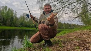 Весенняя СЫРТЬ на реке Луга, рыба продолжает свой ход