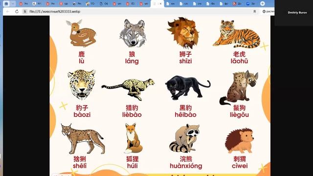 Китайский с нуля. Животные и звери на китайском языке. смотреть онлайн