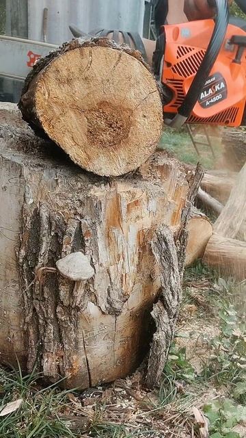 Китайская бензопила: испытание смотреть онлайн