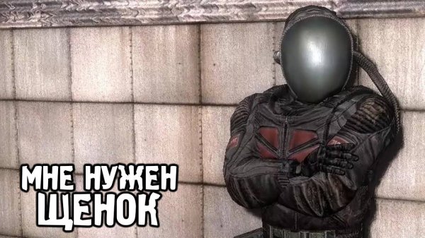 Принести Щенка Псевдособаки - STALKER The Second Sun #3