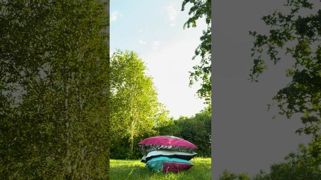 Как научиться делать все движения как кошка как бегать и прыгать