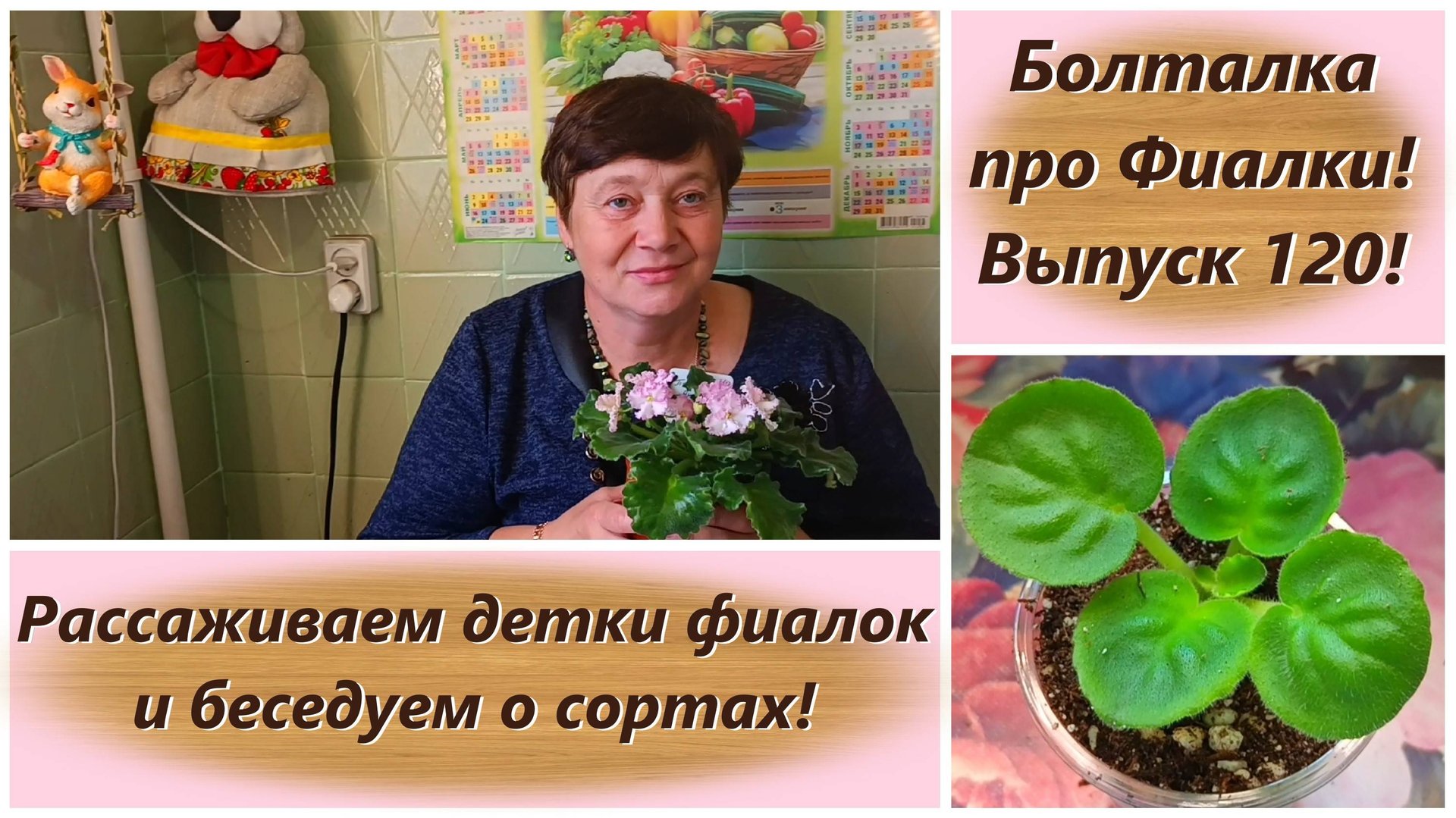Болталка про Фиалки! Выпуск 120! Рассаживаем детки фиалок и беседуем о сортах! смотреть онлайн