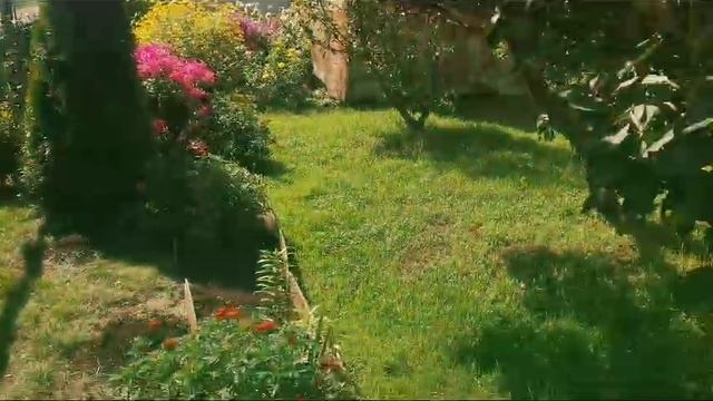 VID-20250418-WA0004 смотреть онлайн