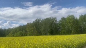 на встречу майскому теплу