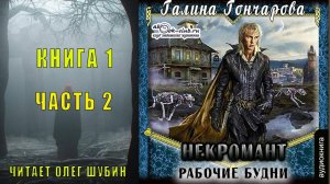Галина Гончарова "Некромант" (книга 1) "Рабочие будни" (часть 2)