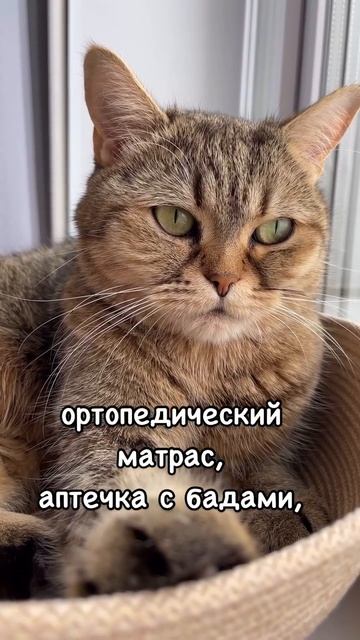 К 40 годам я поняла, Что настоящая богатства-это смотреть онлайн