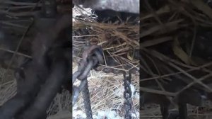 косилка на минитрактор шифенг 244