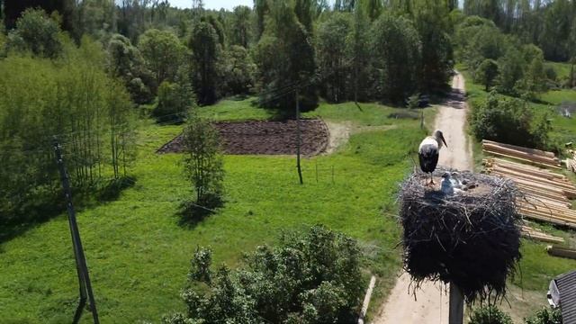 25 мая 2024 г.